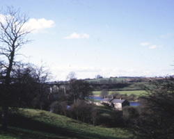 Newton Cap Viaduct and River Wear