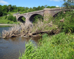 Ladykirk and Norham Bridge from southwest