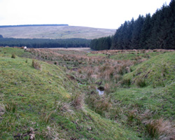 North Tyne source
