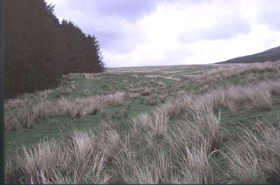 North Tyne source