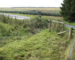 North Tyne runs under the bridge at the Anglo Scottish border