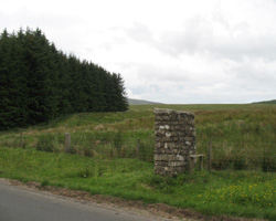 North Tyne source, border at line of trees