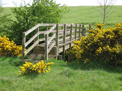 Ogle Dean Footbridge