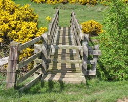 Ogle Dean Footbridge