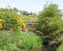 Ogle Dean Footbridge