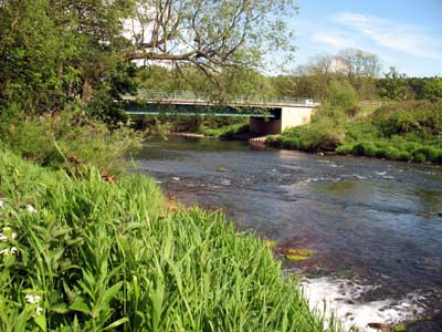 Page Bank Bridge