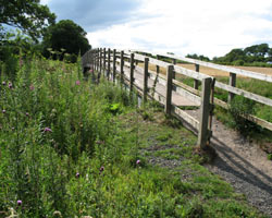 Peter's Mill Footbridge