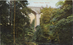 Plessey Viaduct -old postcard