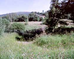 Ravenshill and footbridge