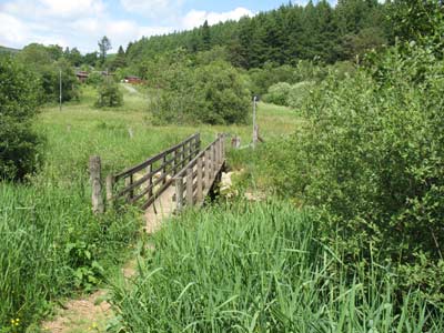 Ravenshill Footbridge
