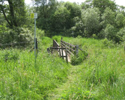 Ravenshill Footbridge looking south
