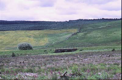Railway Bridge One