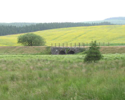 Railway One Bridge