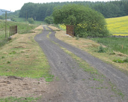 Looking towards Kielder village from bridge