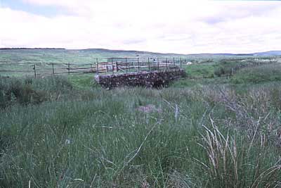 Railway Bridge Two