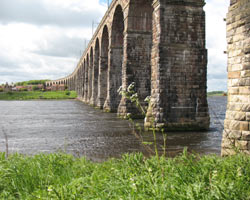 Royal Border Bridge Berwick