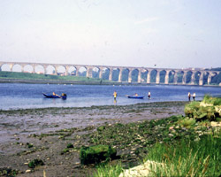 Royal Border Bridge Berwick - salmon fishermen in foreground