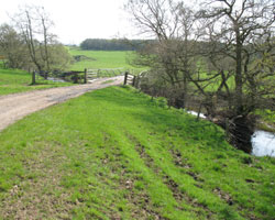 Scarlett Hall Bridge