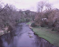 The Derwent near Shotley Bridge