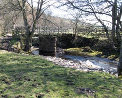 Sparks Bridge