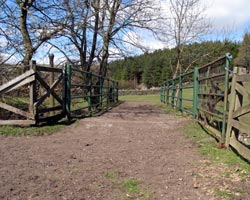 Sparks Farm Bridge