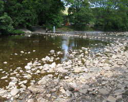 Stanhope Stepping Stones and Ford