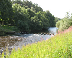 Stepping Stones at Rothbury