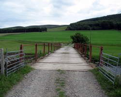 Stobo Bridge looking west