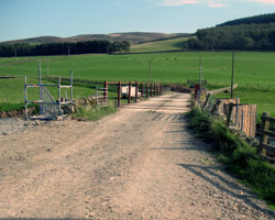 Stobo Bridge looking west, under reconstruction