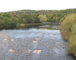 View west from Styford Bridge