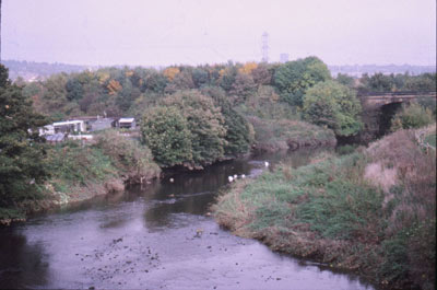 River Derwent from Old Swalwell Bridge
