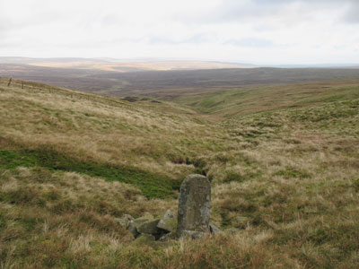 Tees Source and boundary stone