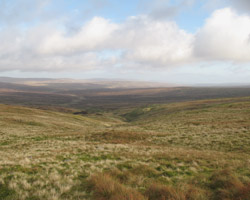The River Tees looking east from the source