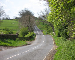 Trewick Bridge