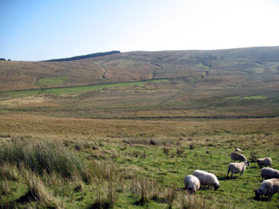 Tweed Source