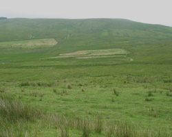 Tweed Source