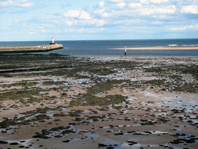 Mouth of the River Tweed