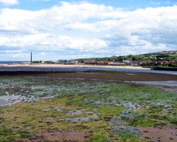 Tweedmouth