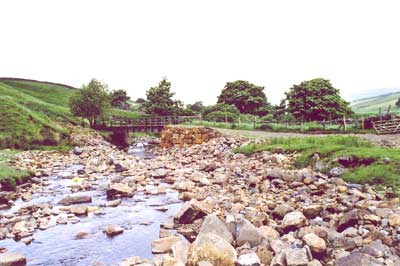 Tynehead Bridge
