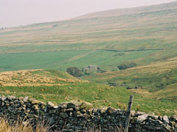 Tynehead from road