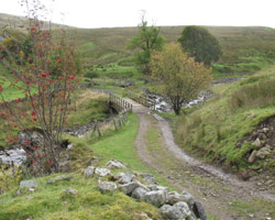 Tynehead Bridge