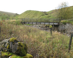 Tynehead Bridge