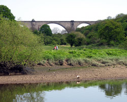 Victoria Viaduct