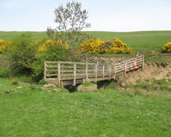 Dean House Footbridge looking south