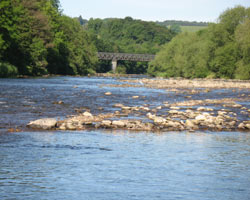Warden Railway Bridge from meeting of the waters