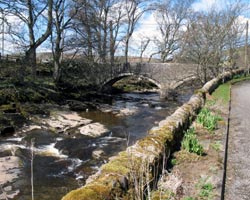 Blackdene Bridge from road to east