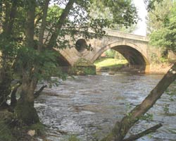 Weldon Bridge