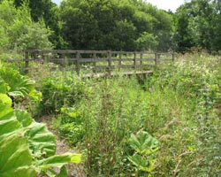 Whittingham West Footbridge