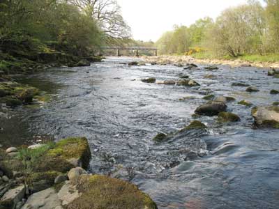 Williamston Bridge