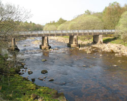 Williamston Bridge